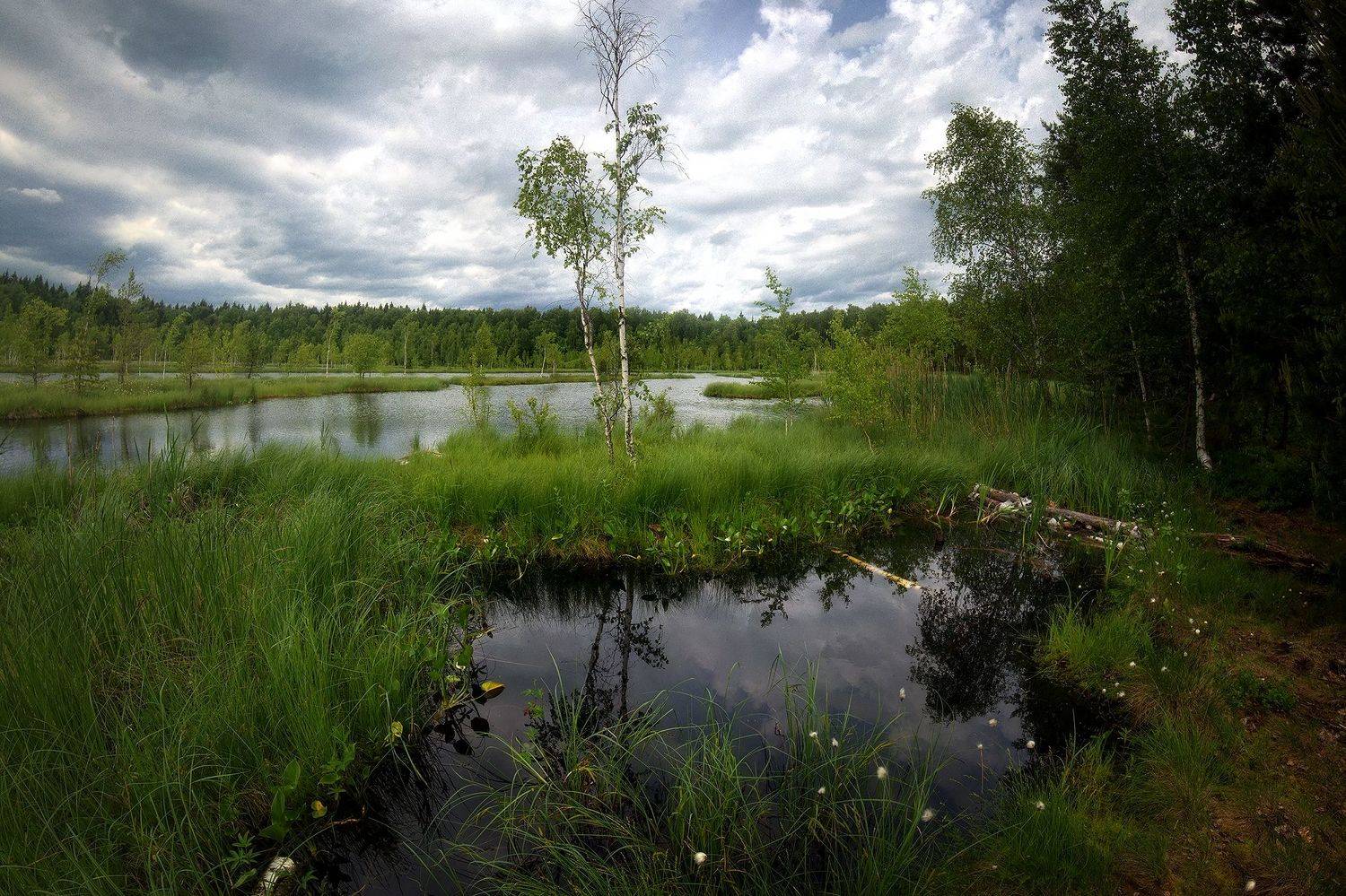 , Алексей Никонов