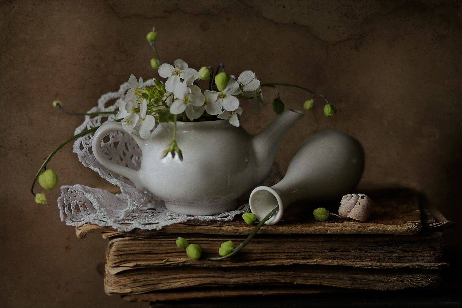 , Светлана Дерябина