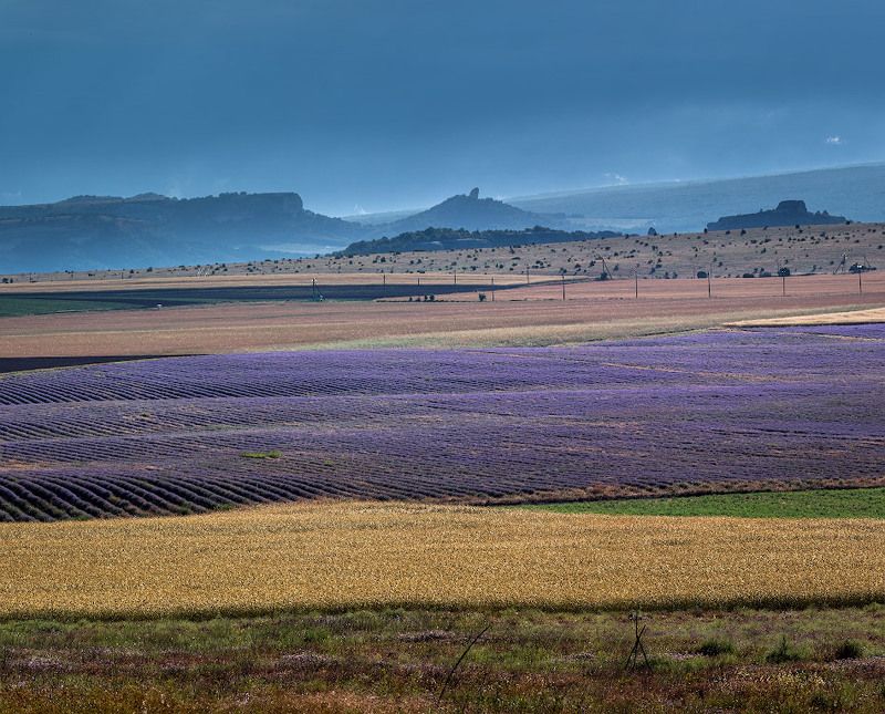 время лаванды фото превью