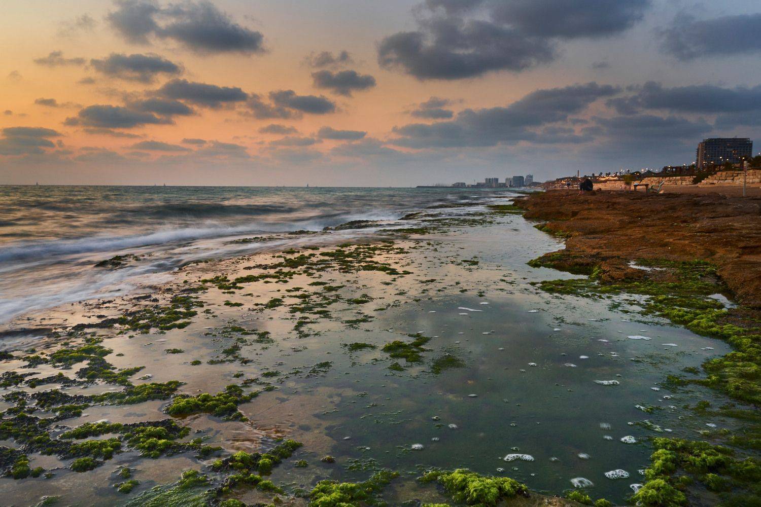 mediterranean sea, israel, David Solodar