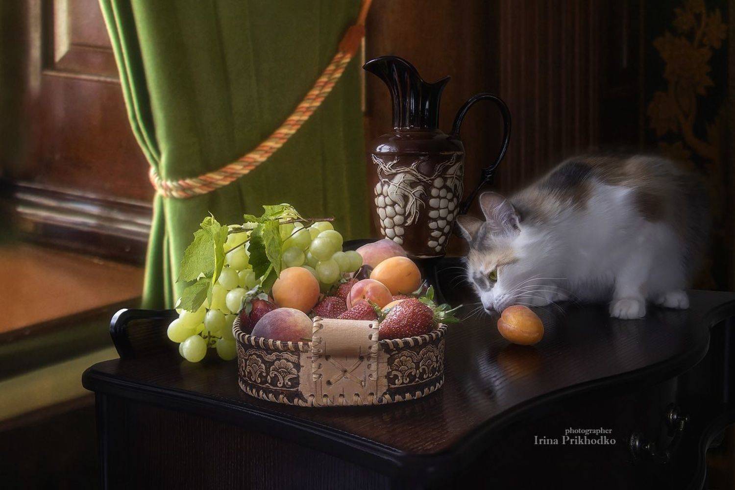 натюрморт, котонатюрморт, кошка, домашние животные, фрукты, лето, интерьер, Приходько Ирина