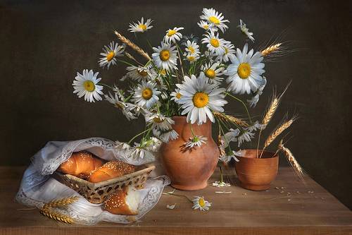 Ромашки и колоски