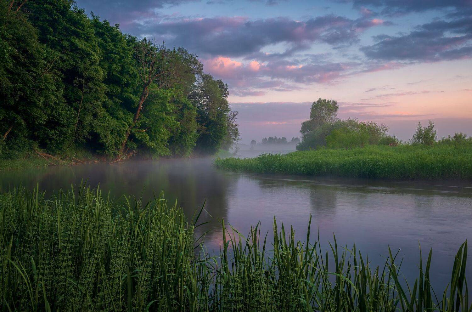 утро, река, лето, Левыкин Виталий