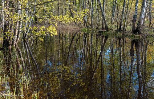 Pro магию Мещёрской старицы