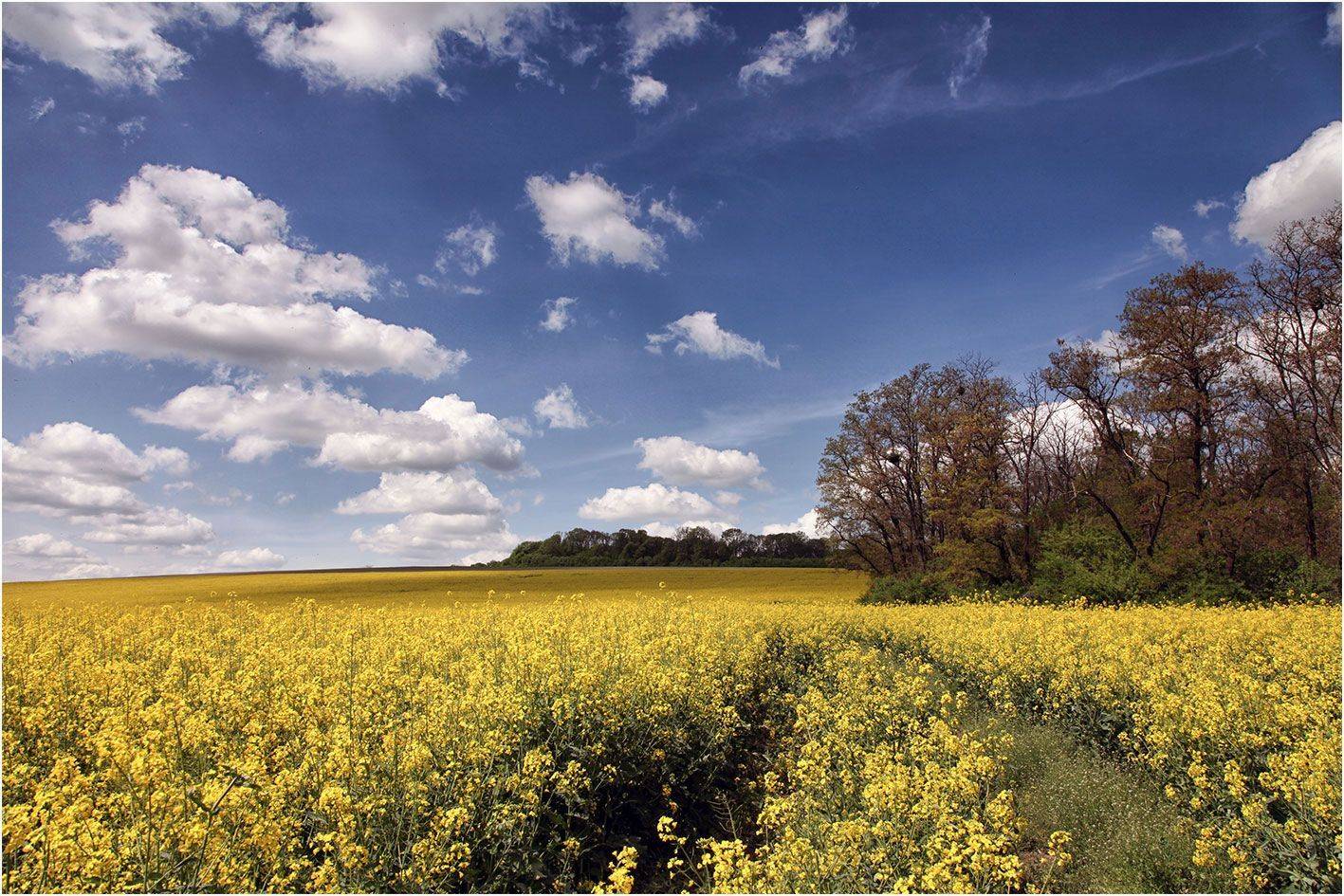 поле, небо, Alexander Slepcowski