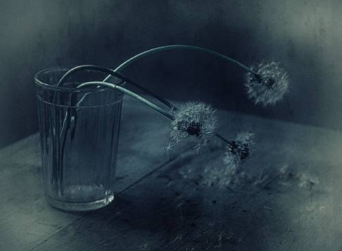 Здравствуй, грусть...