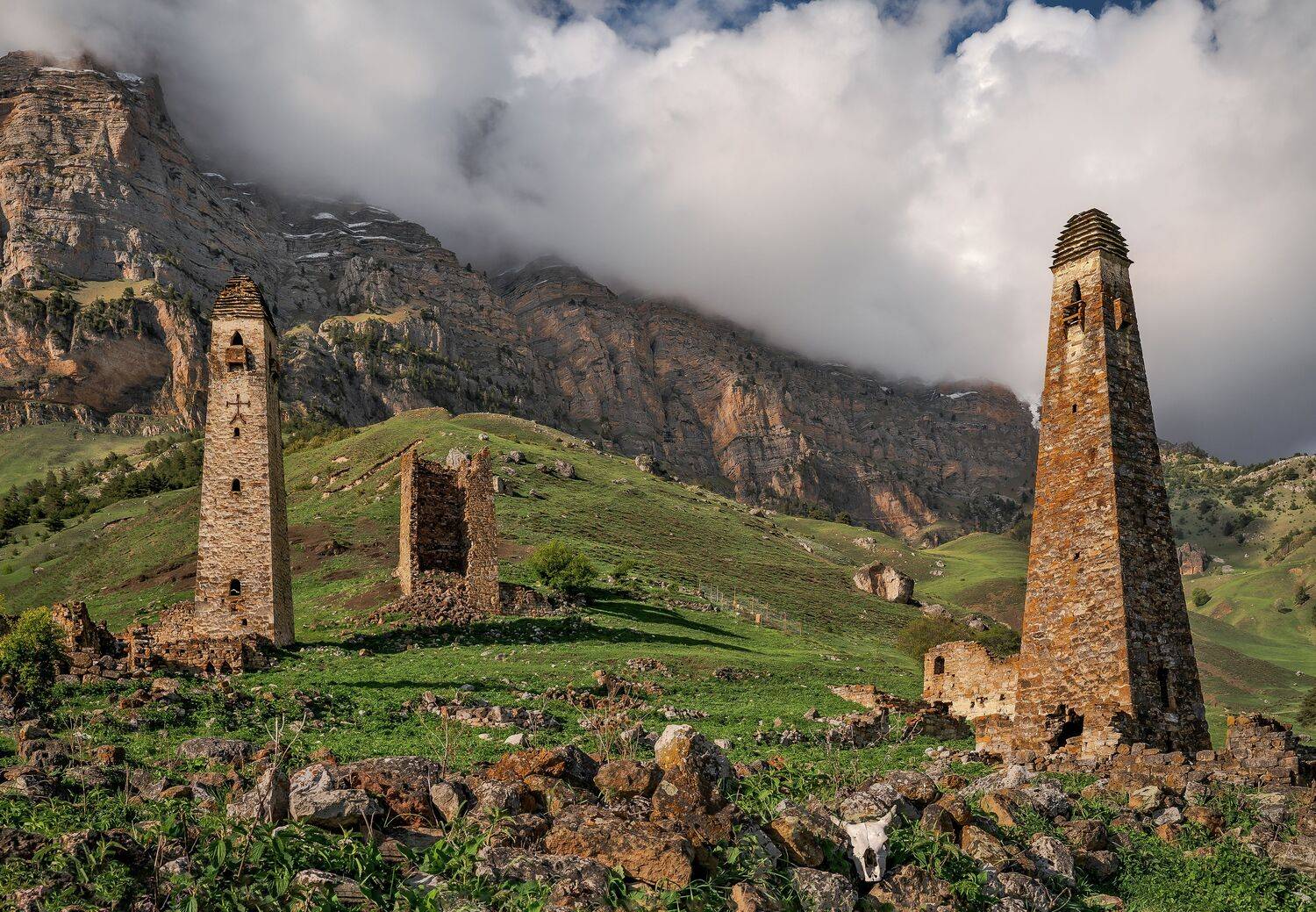 , Вячеслав Бирюков