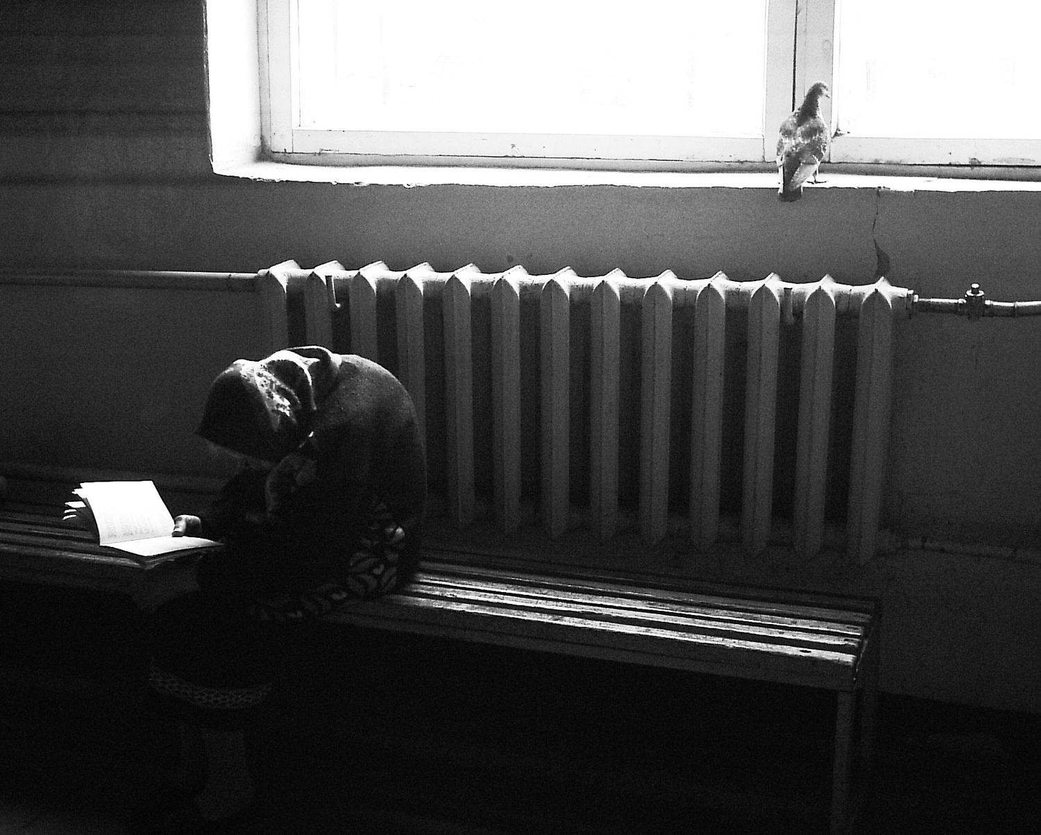 , Глеб Рубашкин