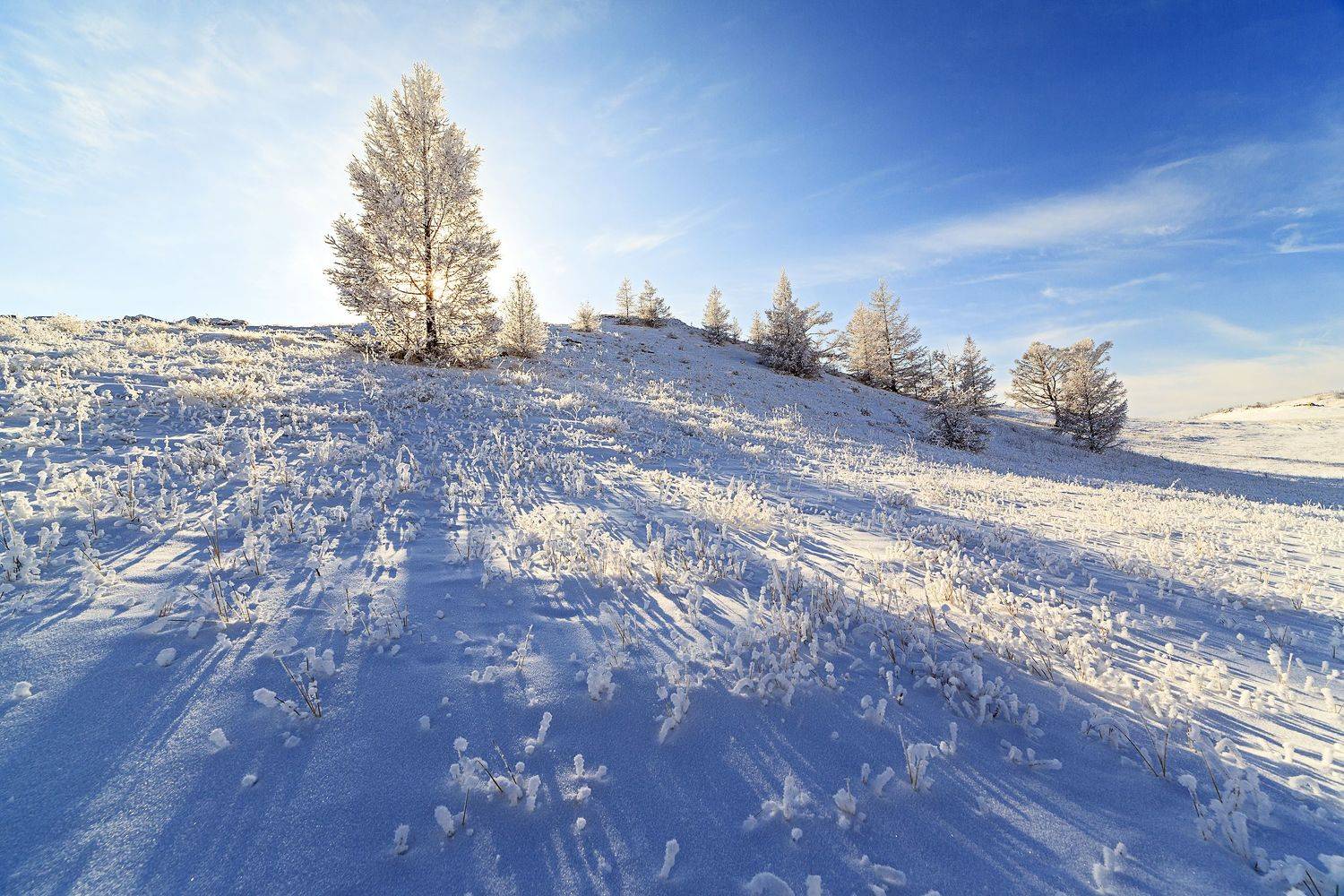 , Михаил Байбородин