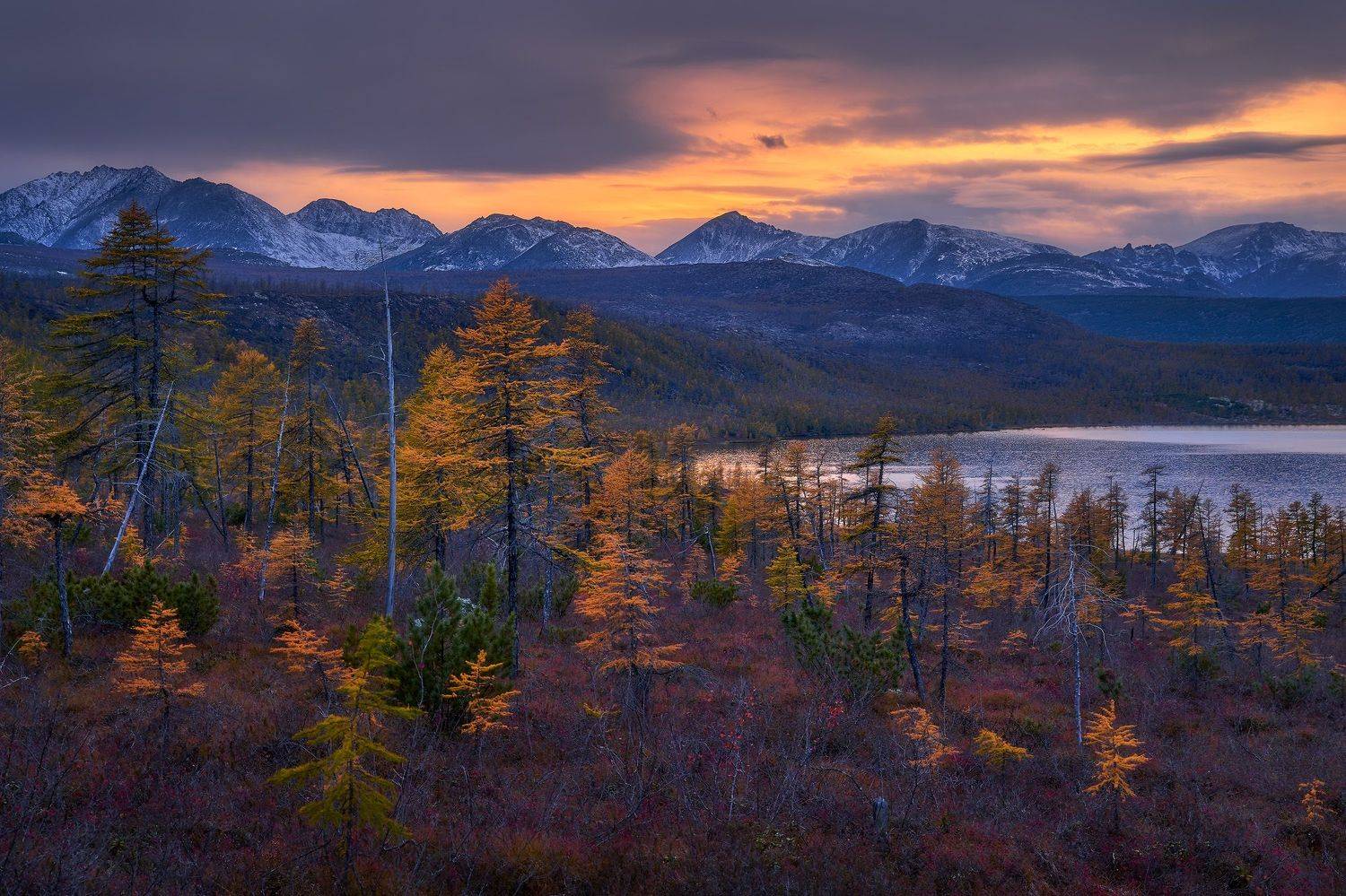 , Сергей Межин
