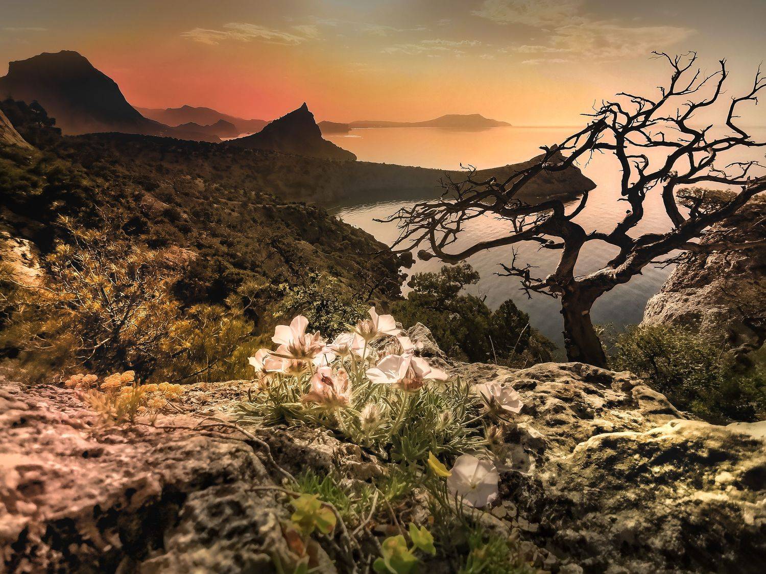 пейзаж Крым Новый Свет восход, Разумов Александр