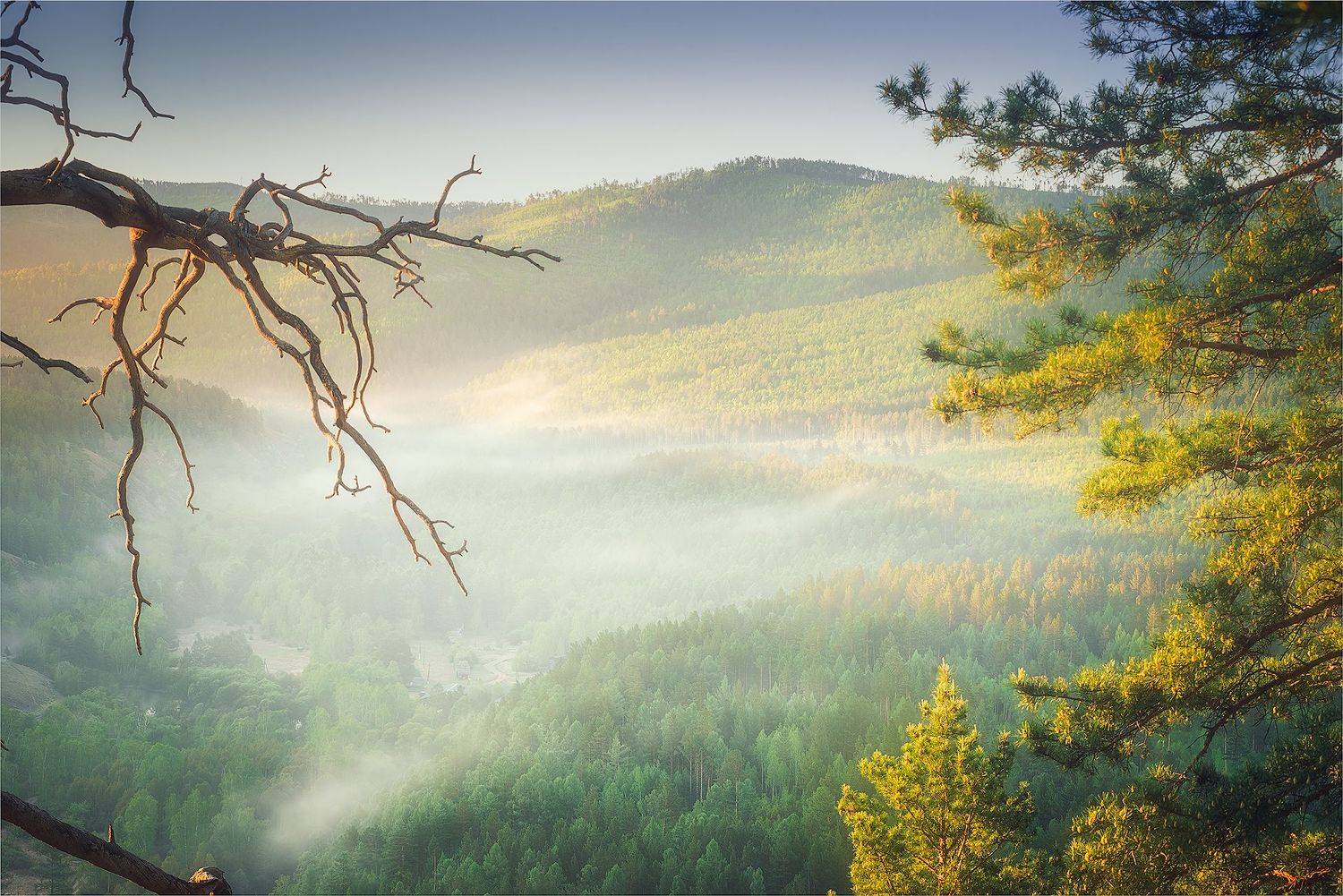 fog, Новокрещенов Станислав