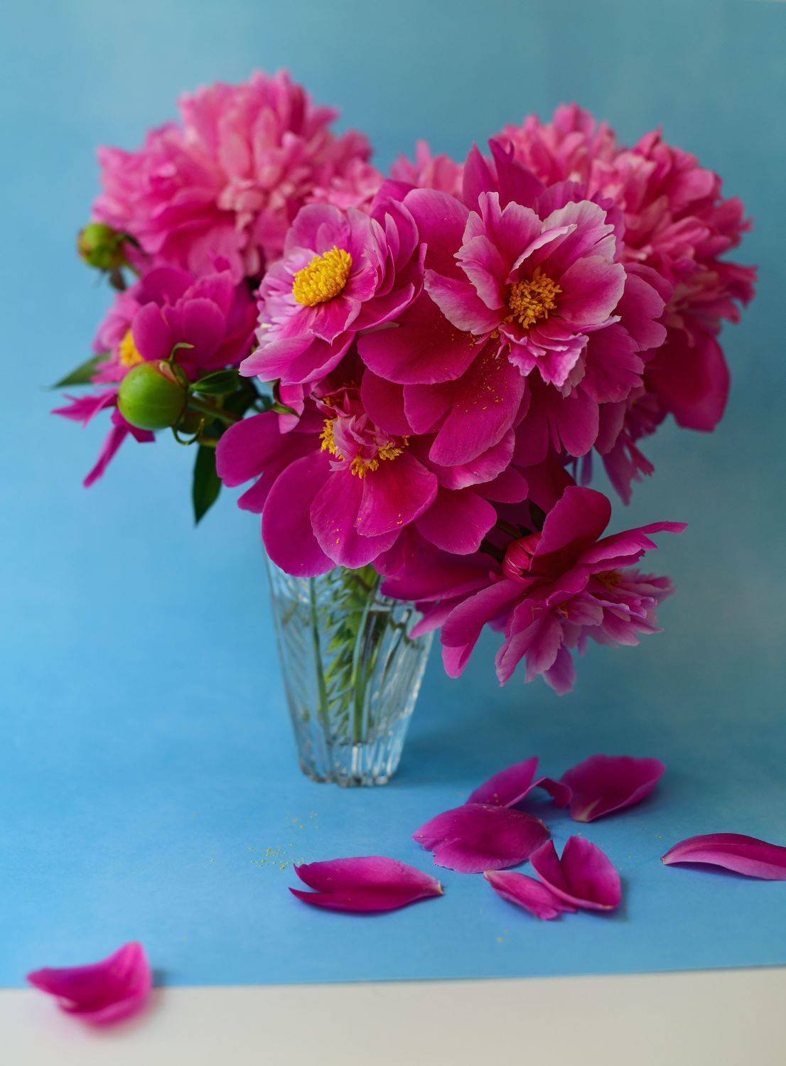 , Божена Пучко