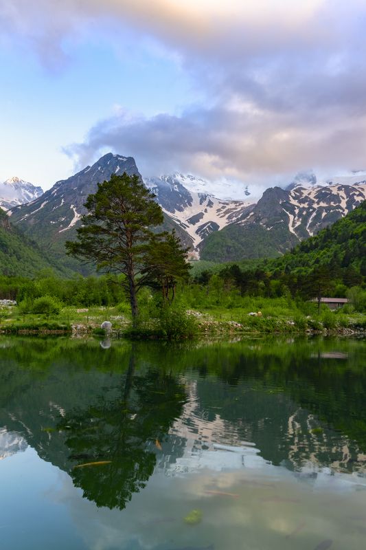 фото превью