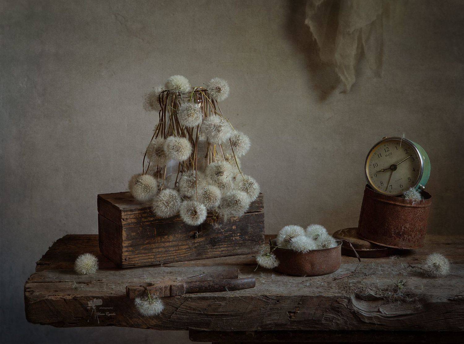 , Инна Сухова