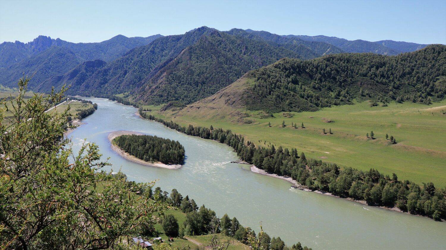 природа,лето,река,катунь,островок, Козлова Галина