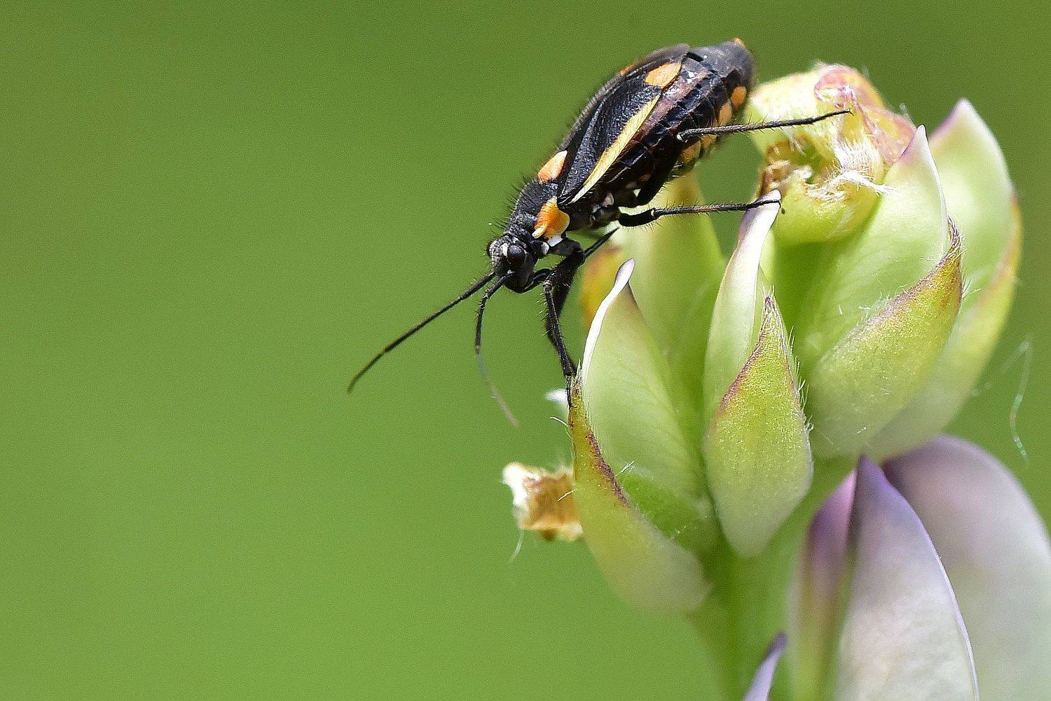 , Корнейчук Игорь