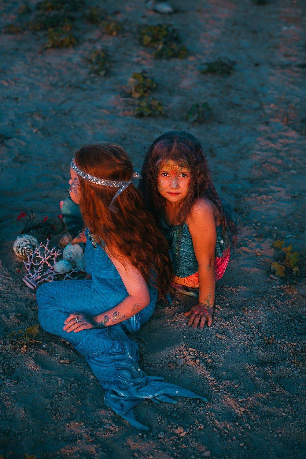 , Дарья Шевченко