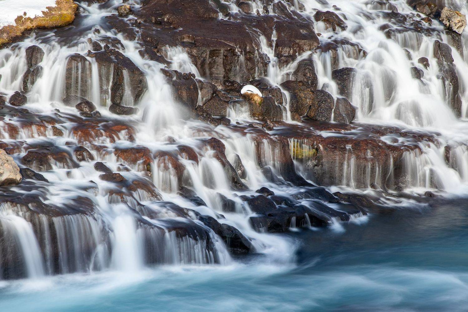 , Евгения Чех