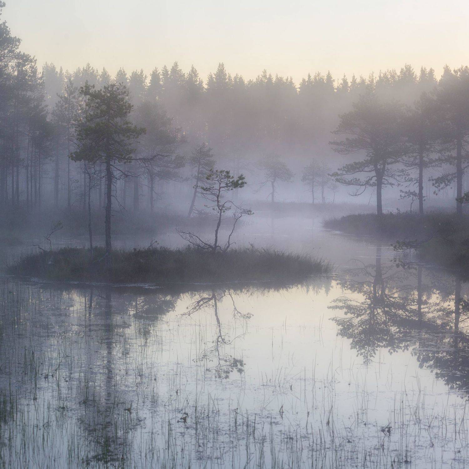 болото, кайф, рассвет ,север ,солнце, свет, закат, облака, отражение, фототур, Павел Ващенков