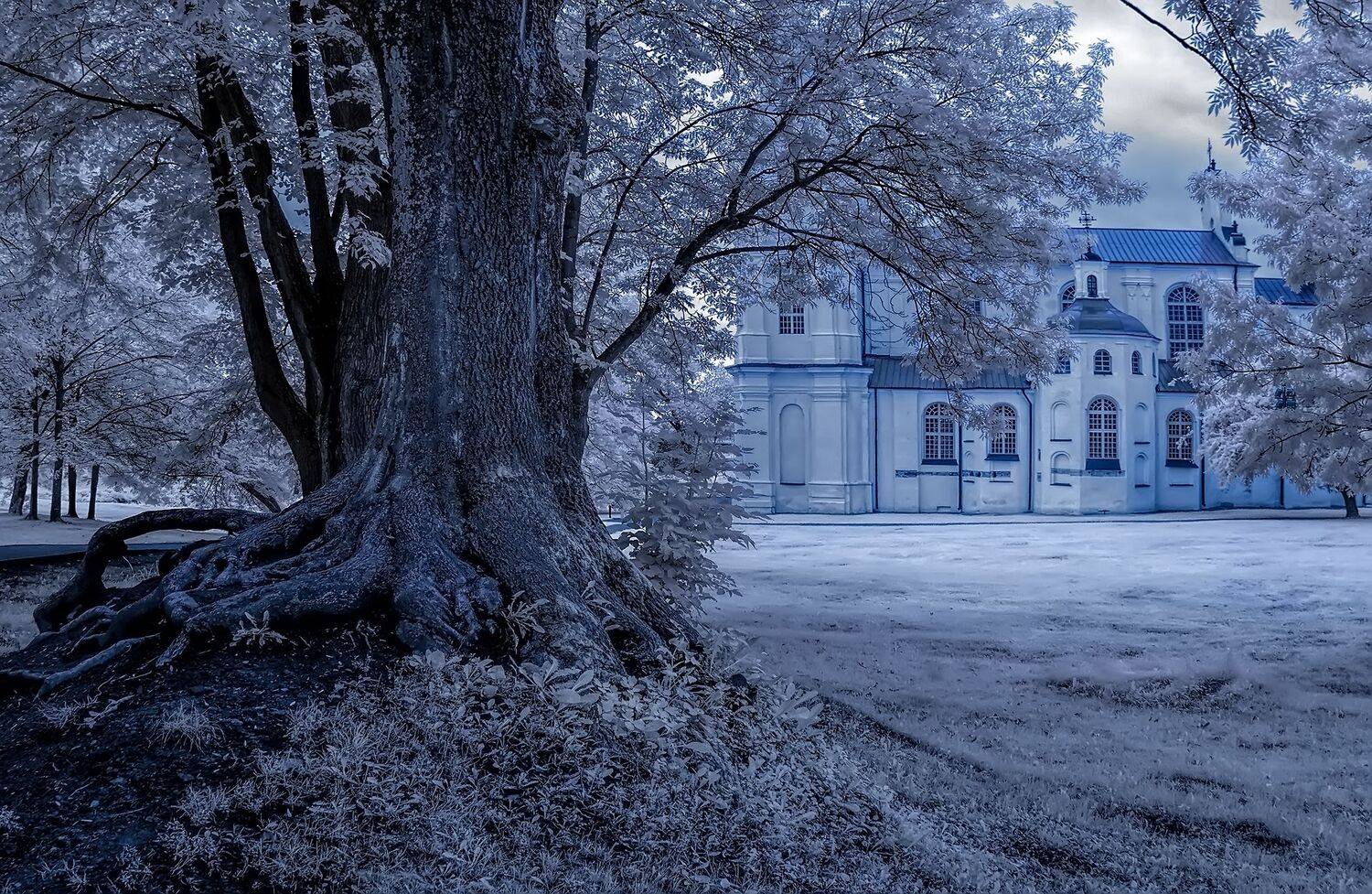 infrared,ик-фото,инфракрасное фото, инфракрасная фотография, пейзаж, лето,  Sixten (Сергей)