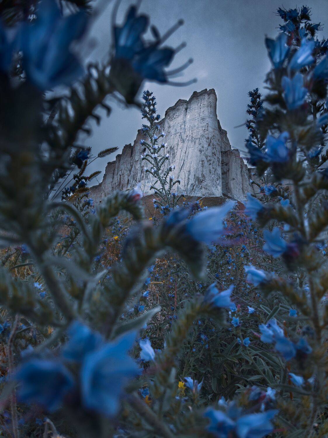 , Андрей Кривцов