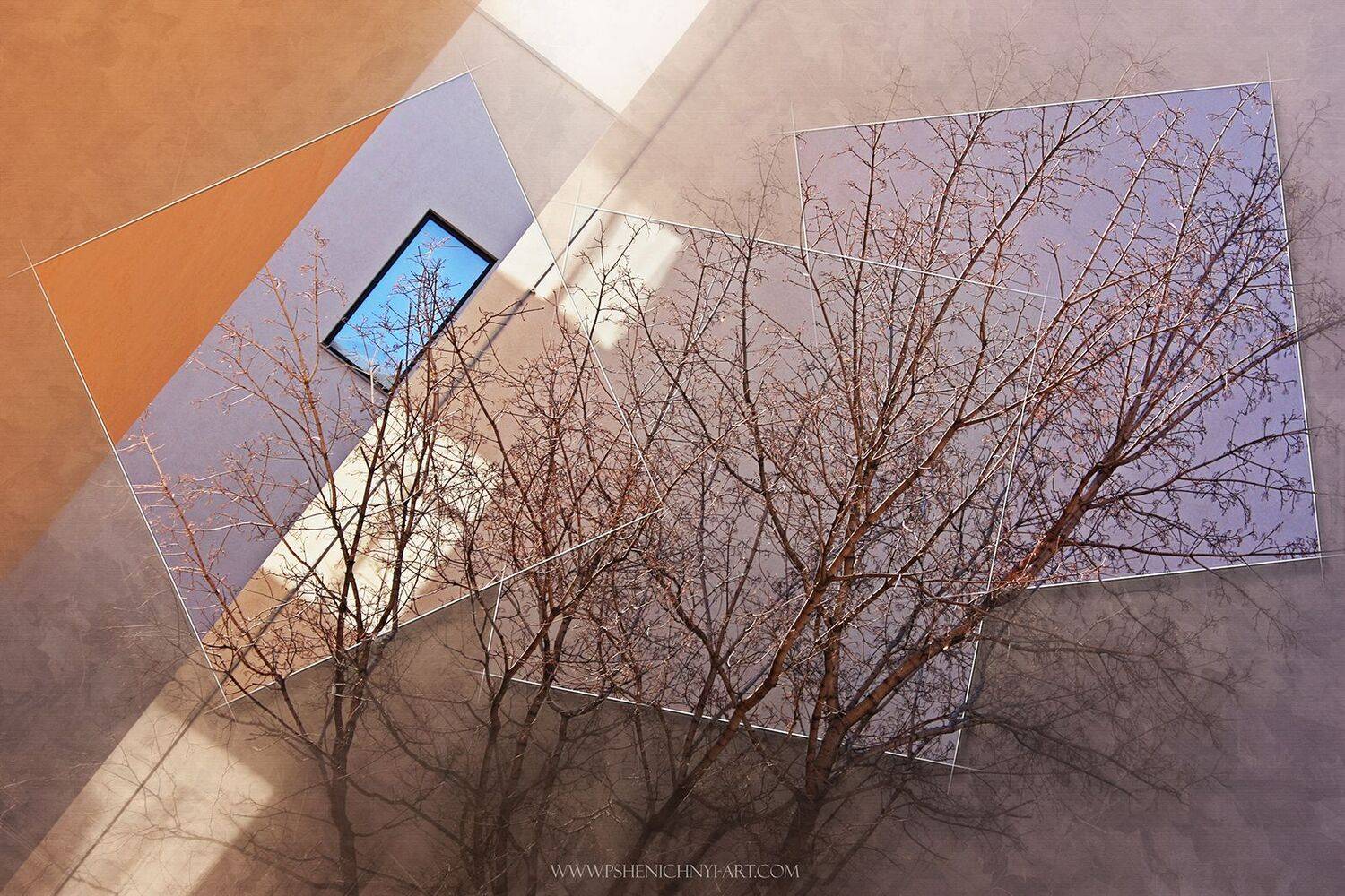 ветви, крона дерева, интерпретация, концепция, квадраты, весна, настроение, Андрей Пшеничный