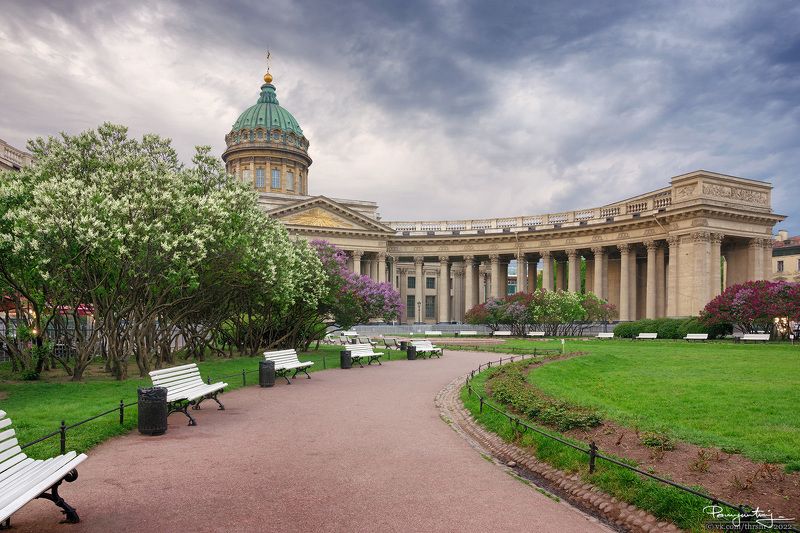 Когда сирень цветёт фото превью