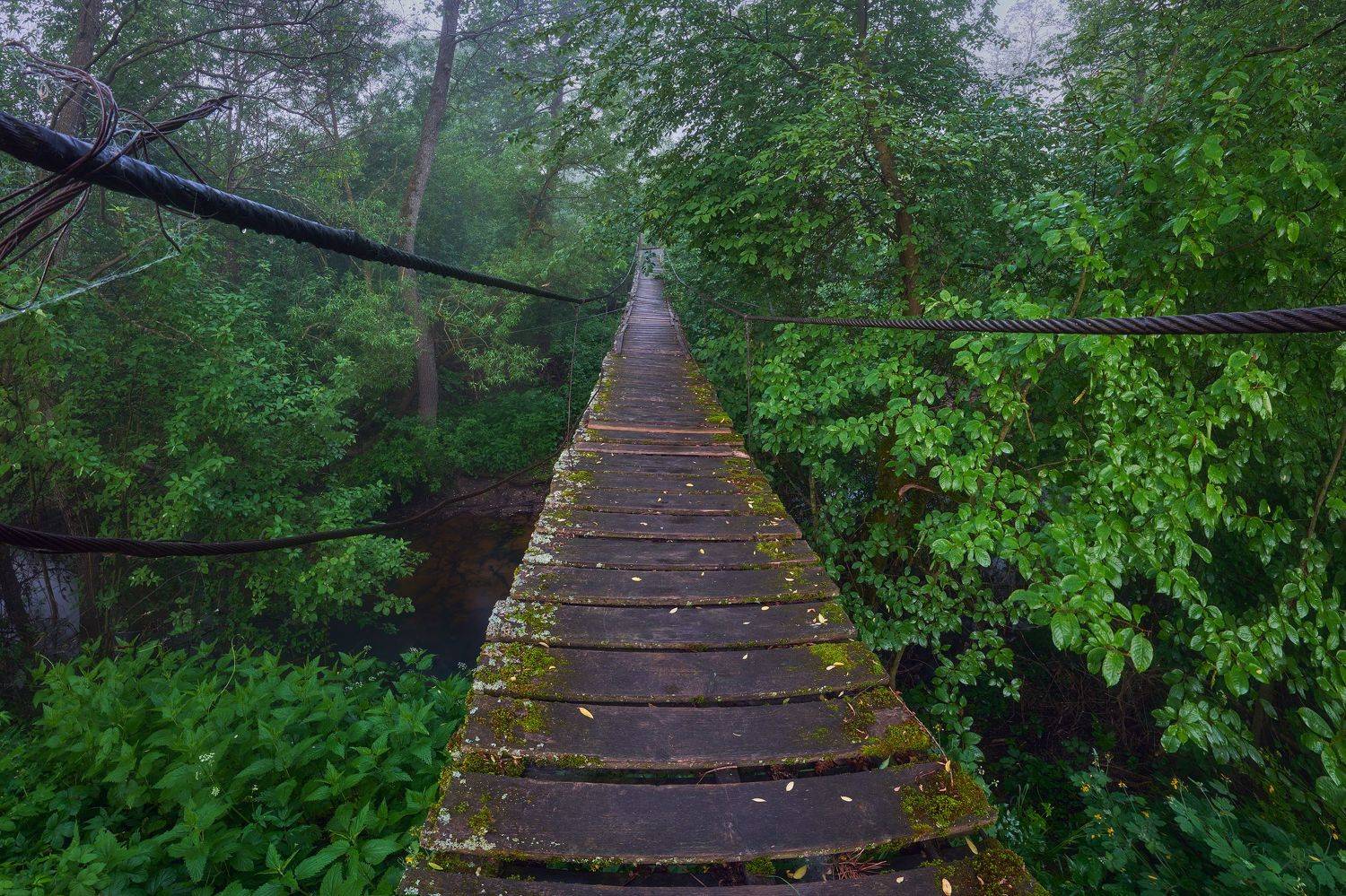 , Konstantin Voronov