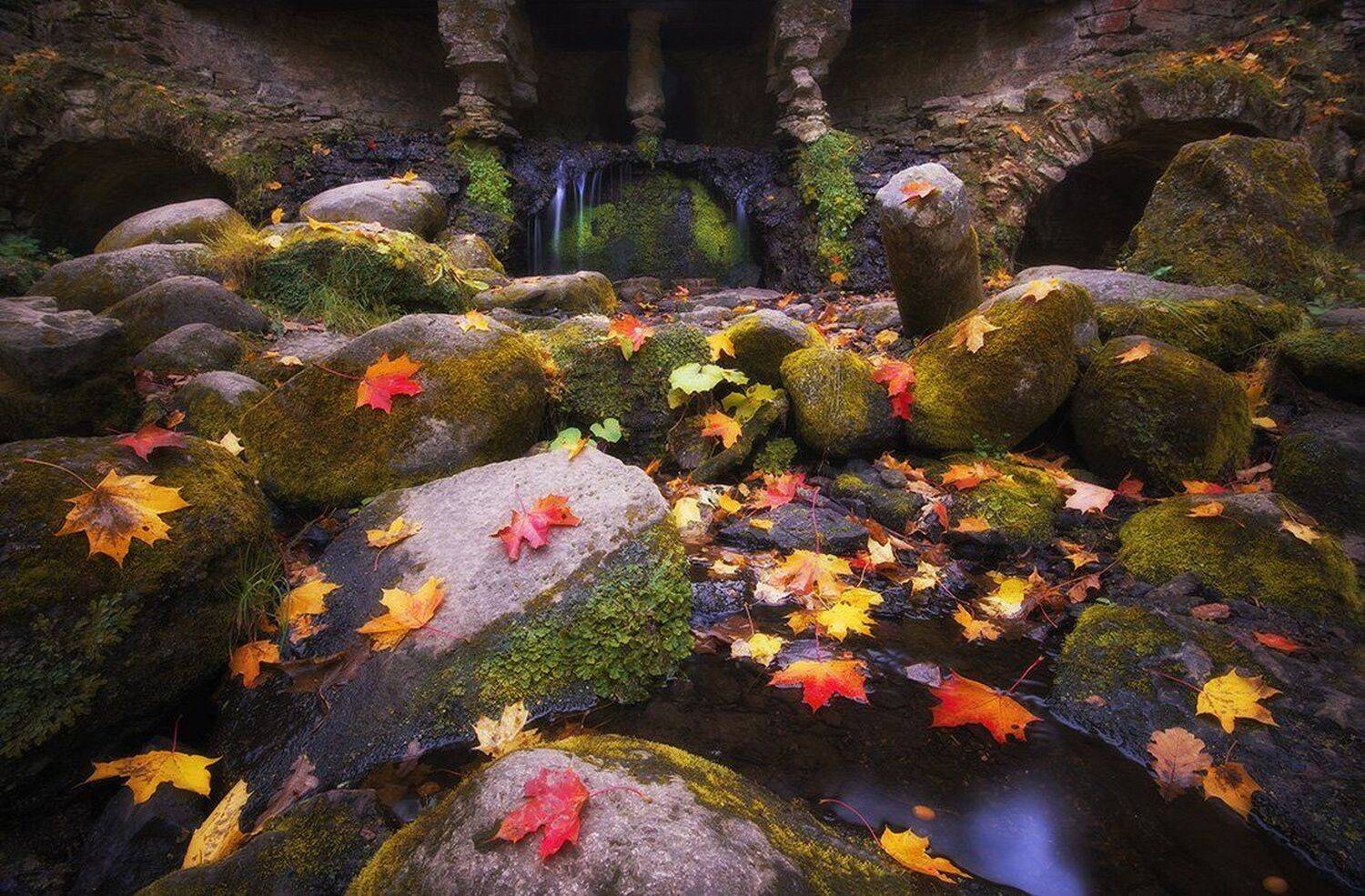 , Кокотков Михаил