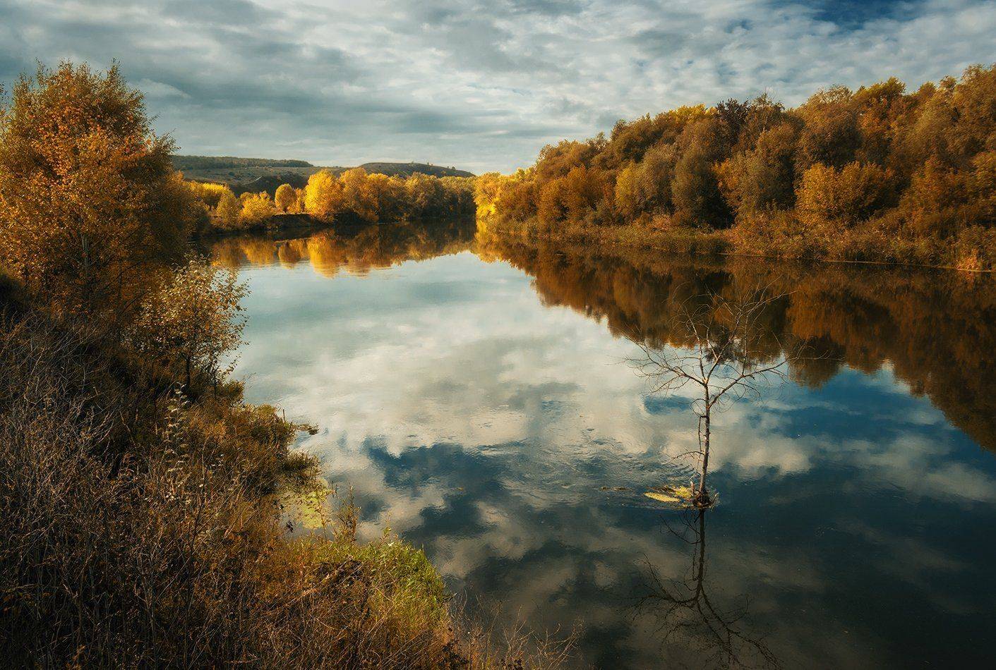 , Игорь Мелекесцев