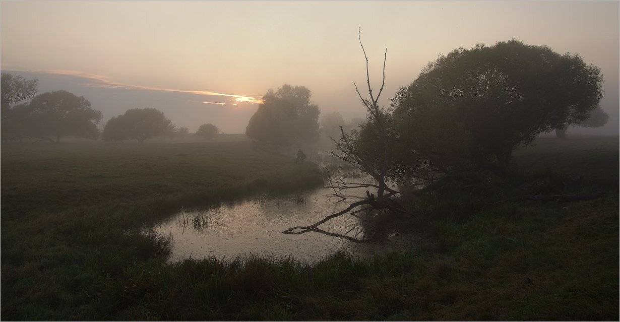 , Николай Шахманцир