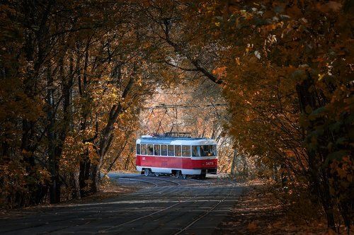 Московский трамвай. Осень.