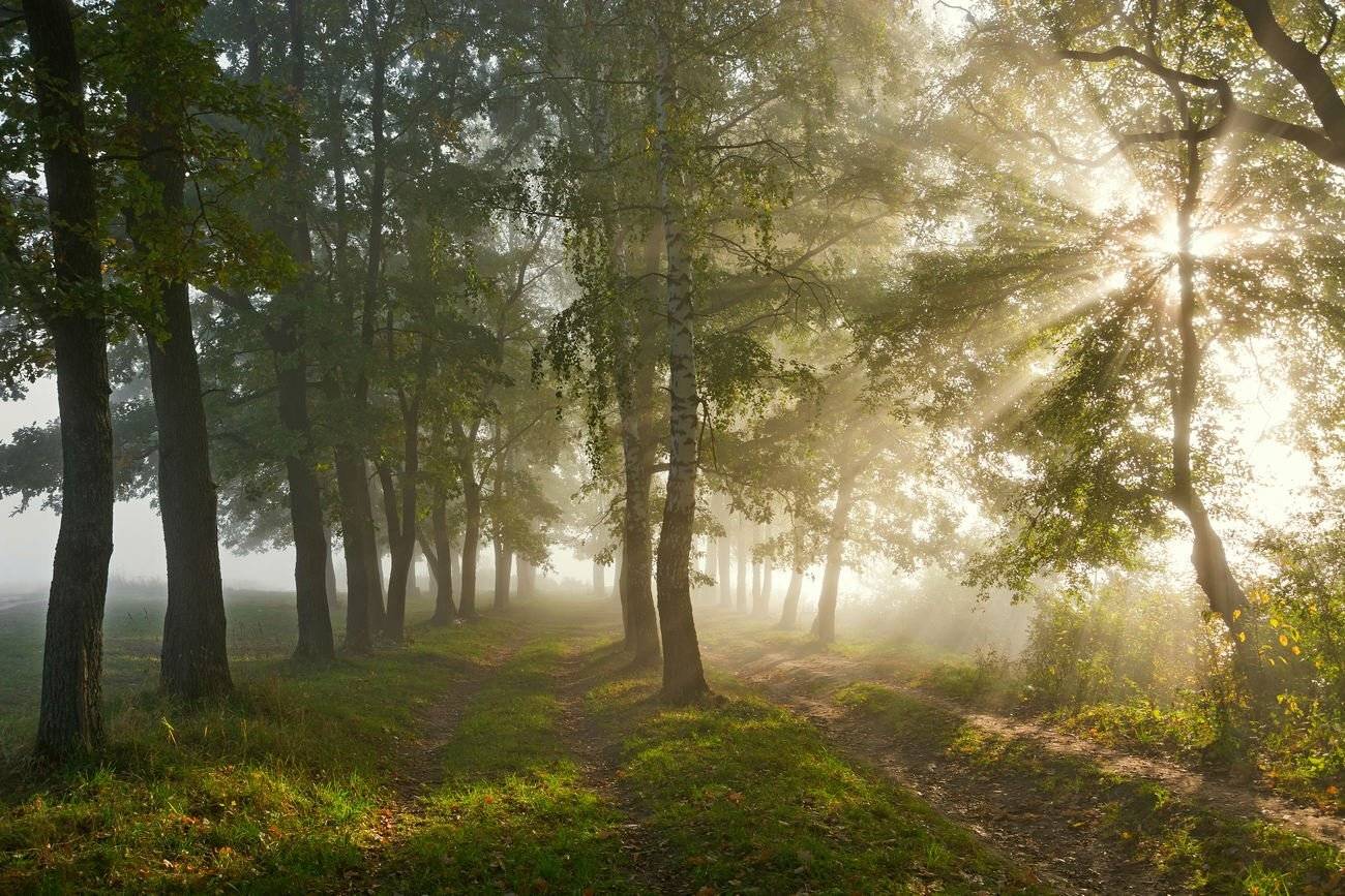 , Руслан Сигушин