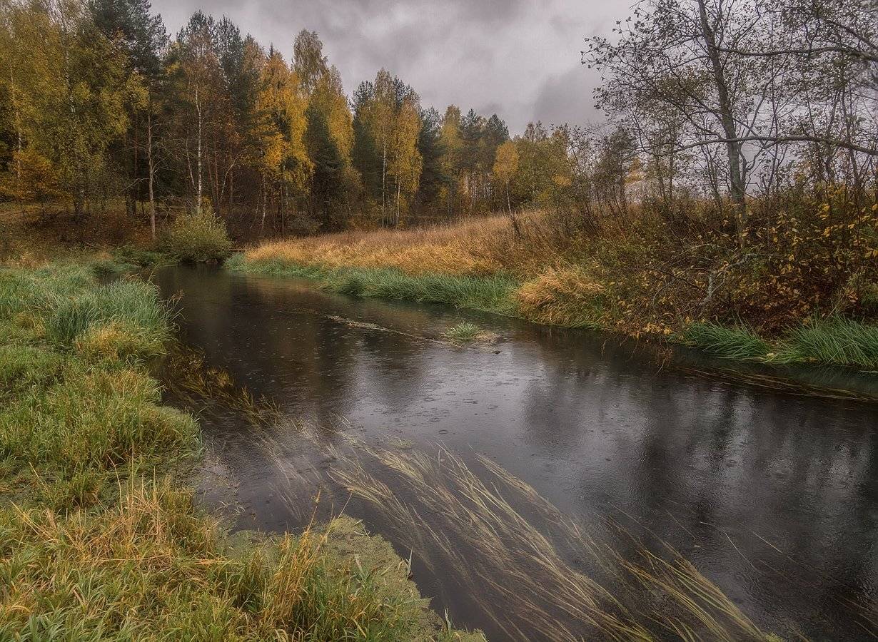 , Марина Брыдня