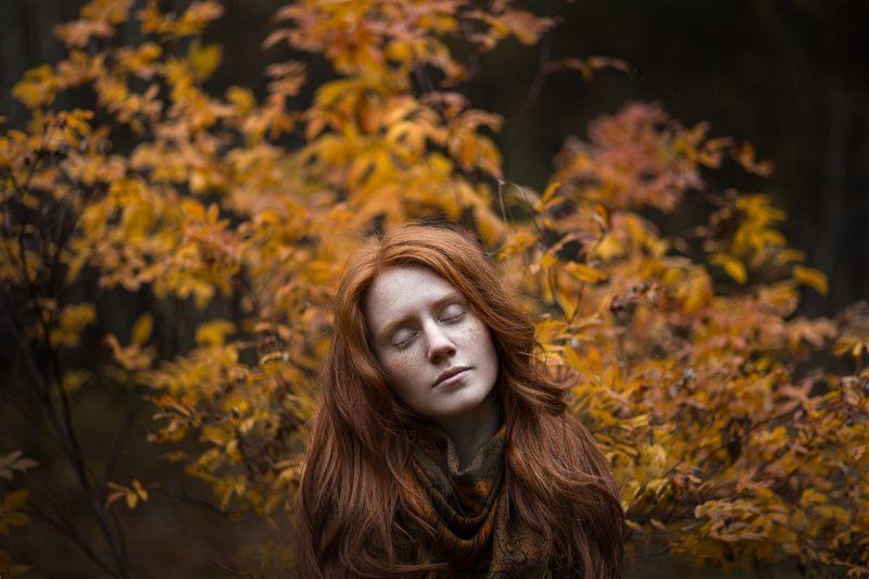 Autumn фото превью