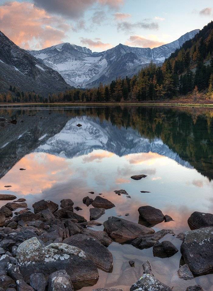 , Алексей Родак