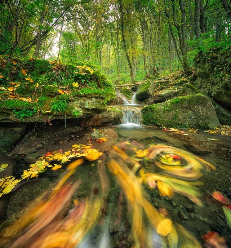 *** фото превью