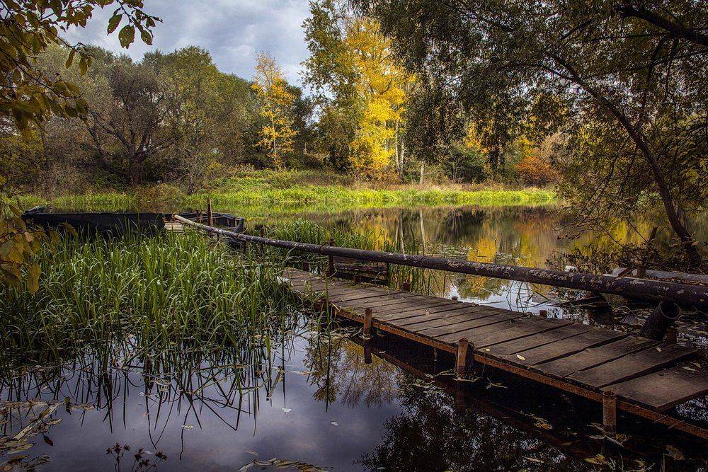 , Svoboda Andreeva