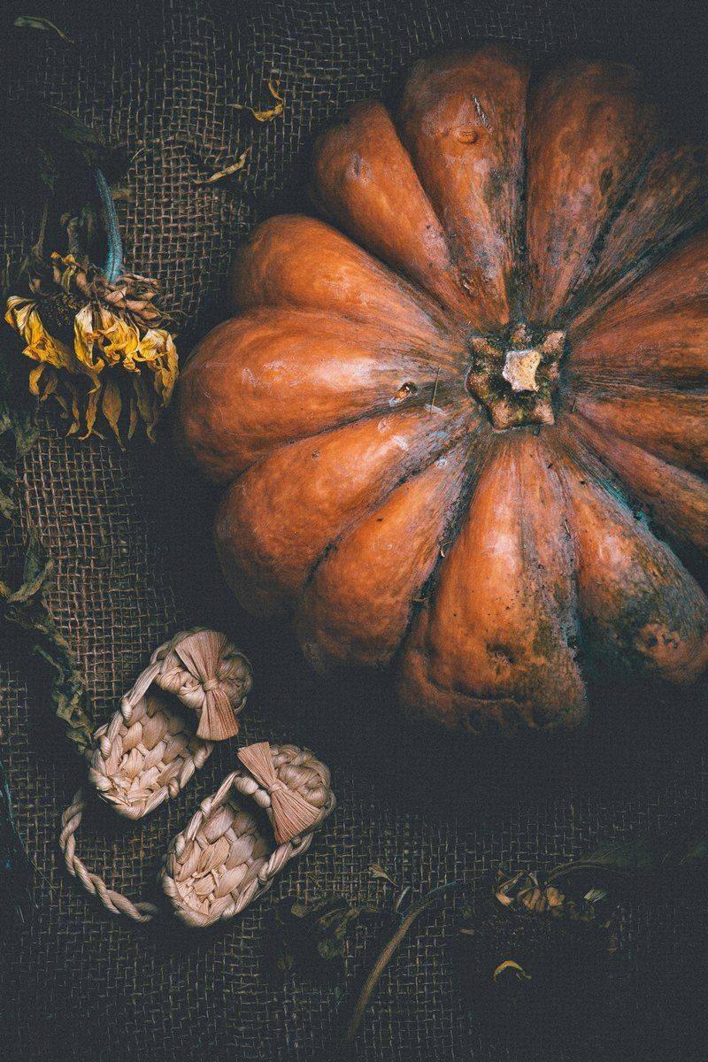 Лапти, Натюрморт, Подсолнухи, Тыква, Фантазия, Наталья Голубева