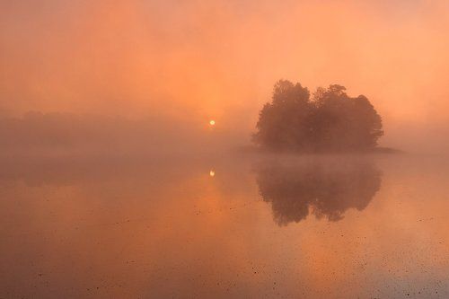 Freshness of the morning