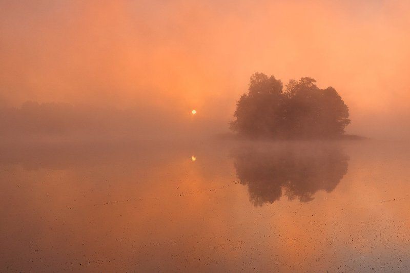 Freshness of the morning фото превью