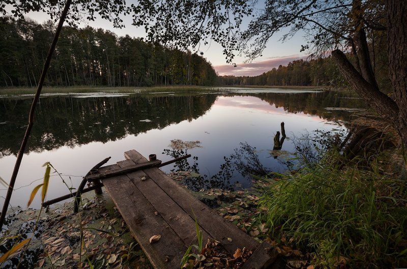 Начало октября фото превью