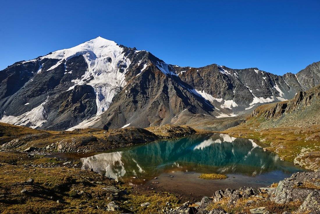 , Михаил Зверев