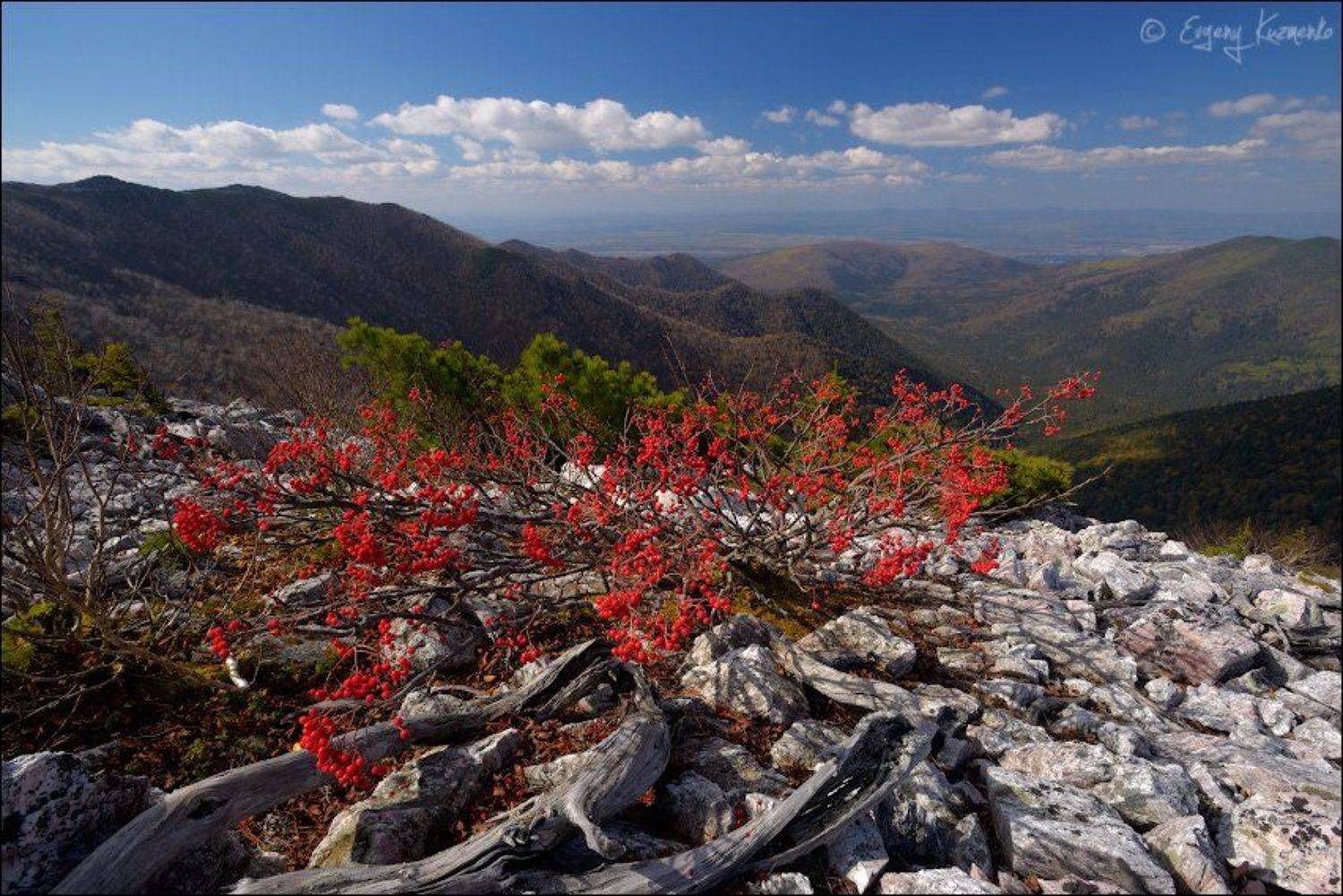 Майорский хребет, Сахалин, Евгений Кузьменко