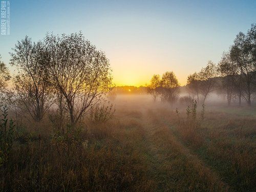 Рассвет в Буче