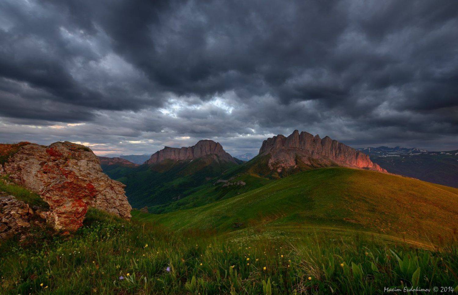 , Максим Евдокимов