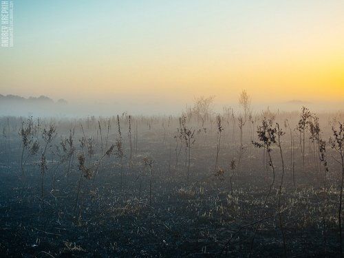 Рассвет в Буче