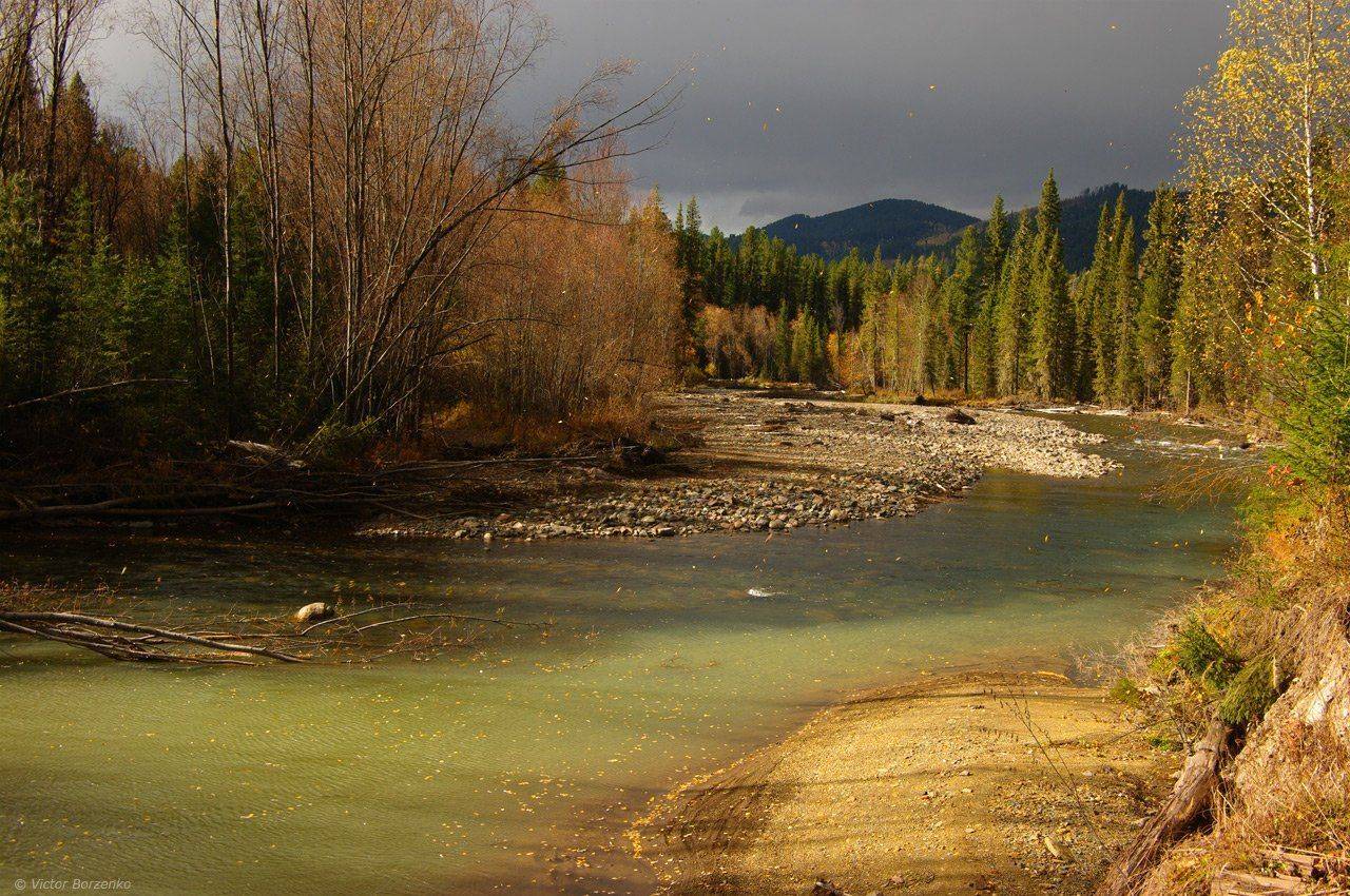Алтай, Листопад, Осень, Река, Виктор Борзенко
