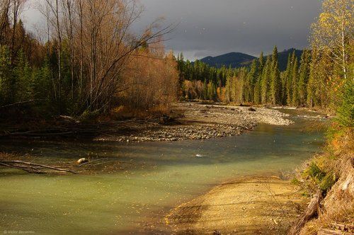 Листопад на таежной реке
